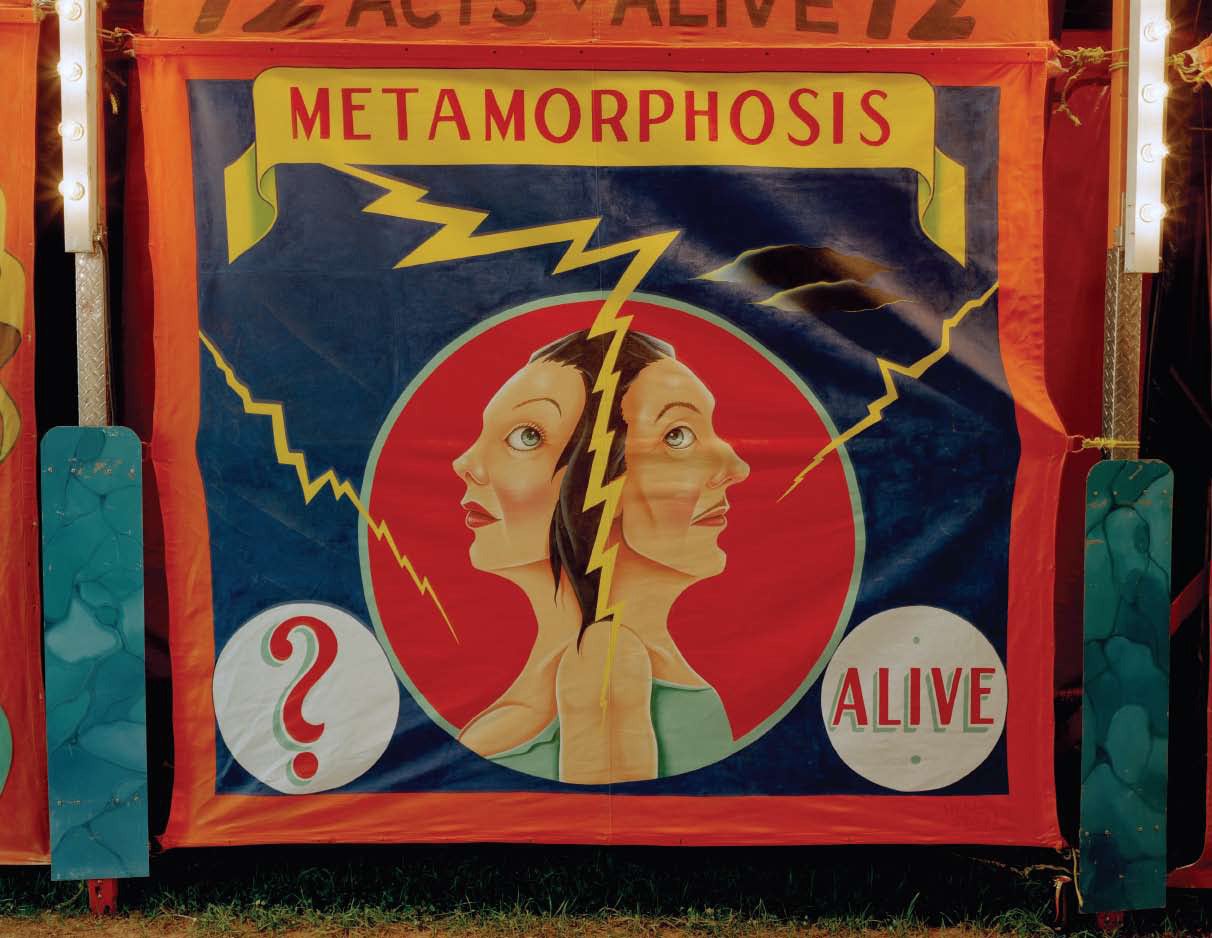 Jimmy & Dena Katz Color Photograph – Metamorphosis Banner, Pennsylvania; aus der Welt des Wunders