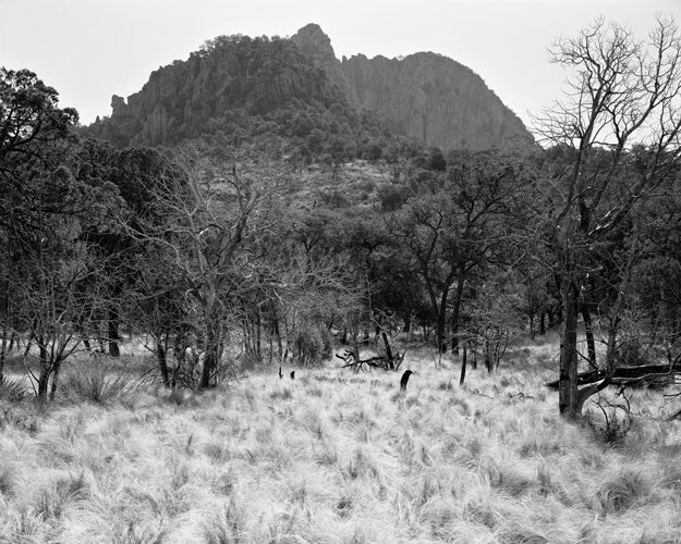 Jack Ridley Black and White Photograph - Emory Peak from Laguna Meadow, Big Bend