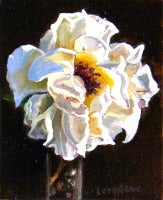 Rose II