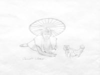 Dogwood, Study