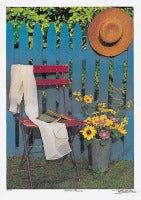 Summer in Provence
