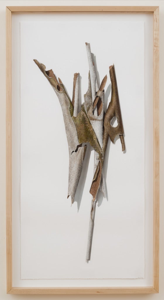 Fallen Bark #3