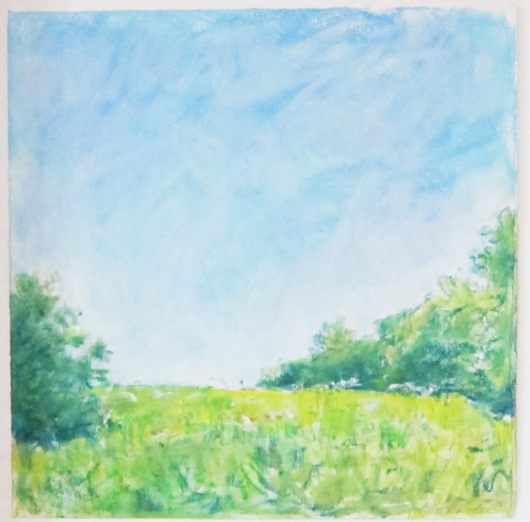 Daisy Craddock Landscape Art - Field Study (2nd)