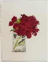 Red Peony, June