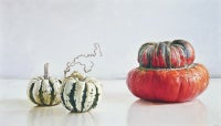 Turban Squash 12