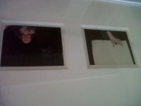 Diptych Self-Portrait of Andy Warhol in Fright Wig with Hand