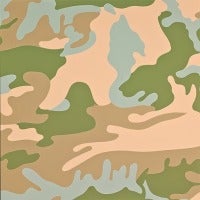 Camouflage (FS.II.407)