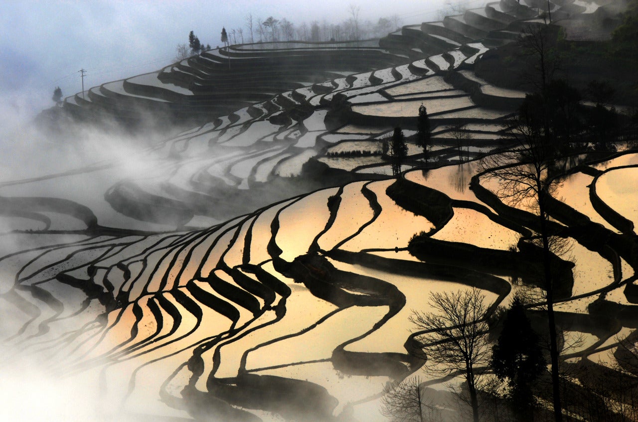 Color Photograph Peter Leung - Terrace de riz, Yuanyang, province du Yunnan, Chine