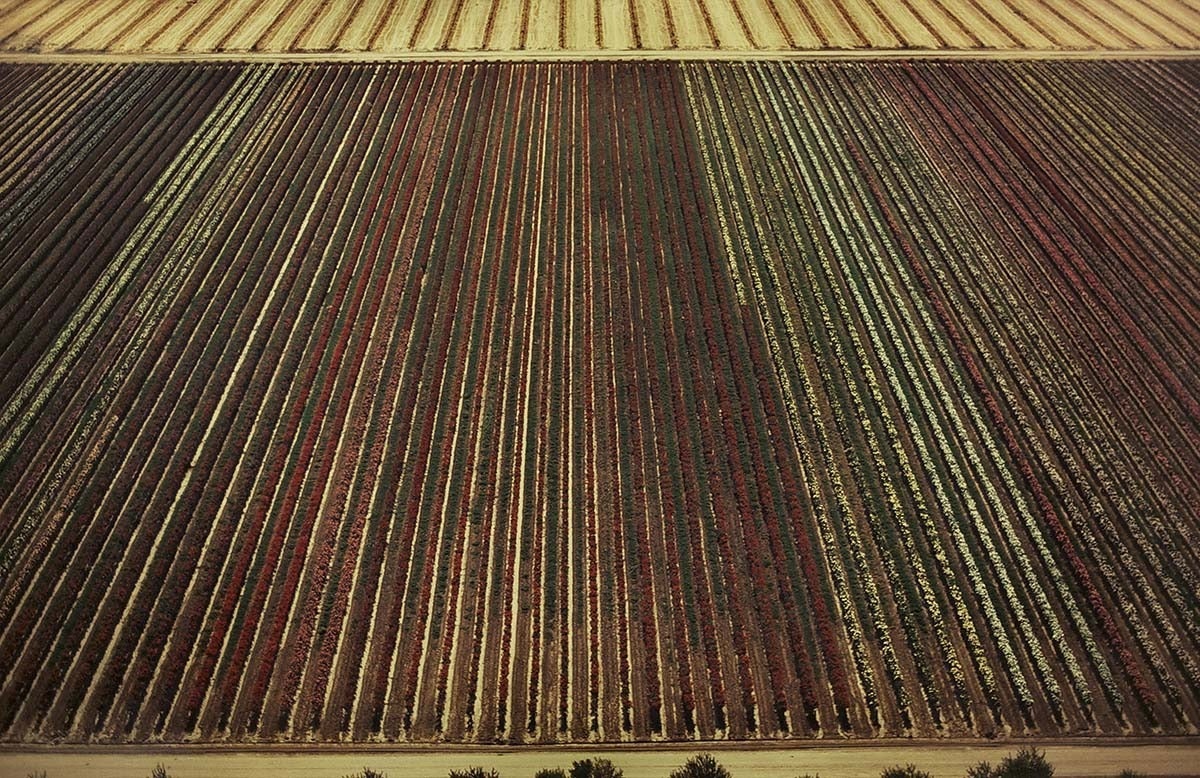 Aerial Cibachrome Vintage Photograph "Fields and Roads"