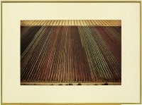 Aerial Cibachrome Vintage Photograph "Fields and Roads"