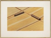 Aerial C-Print Vintage Photo "Tobacco Sheds"