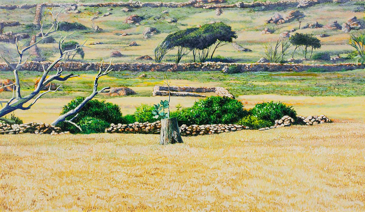 ST. BARTH (LANDSCAPE)