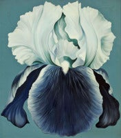 Lowell Nesbitt - WHITE VIOLET IRIS WHITE VIOLET IRIS