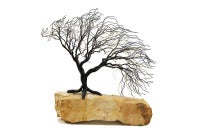 UNTITLED (Japanese Bonsai Tree) Sculpture