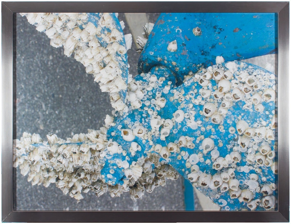 UNTITLED (BOAT PROPELLER WITH BARNACLES)