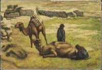 UNTITLED (CAMELS)