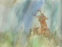 SEASONS SONG: DEER