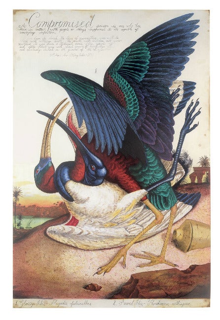 Walton ford prints posters #8