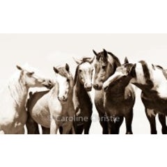 Just Me and The Boys 9