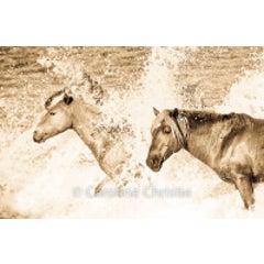 Surfs Up! 10