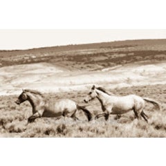 The Chase 11