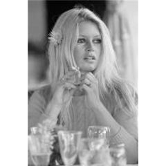 Brigitte Bardot (Flower) 4