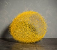 Yellow Nest