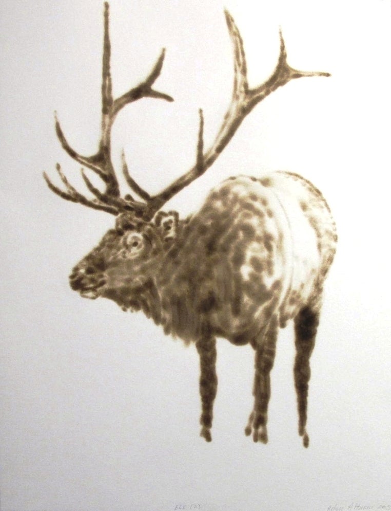 Helen Altman Animal Painting - Elk (looking left)