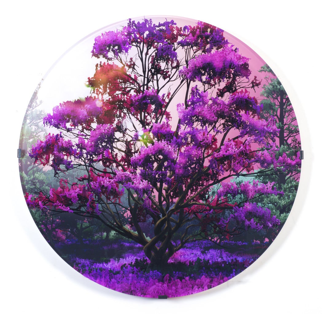 Fall (Four Seasons Series)