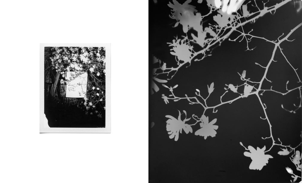 Photogram on Silver Gelatin paper with Polaroid (diptych)
Framed Photogram: 24 1/2 x 20 1/2 inches
Framed Polaroid: 10 3/4 x 8 3/4 inches