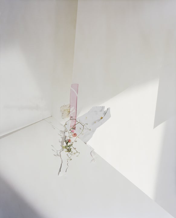 Still-Life Photograph di Laura Letinsky - Senza titolo #25