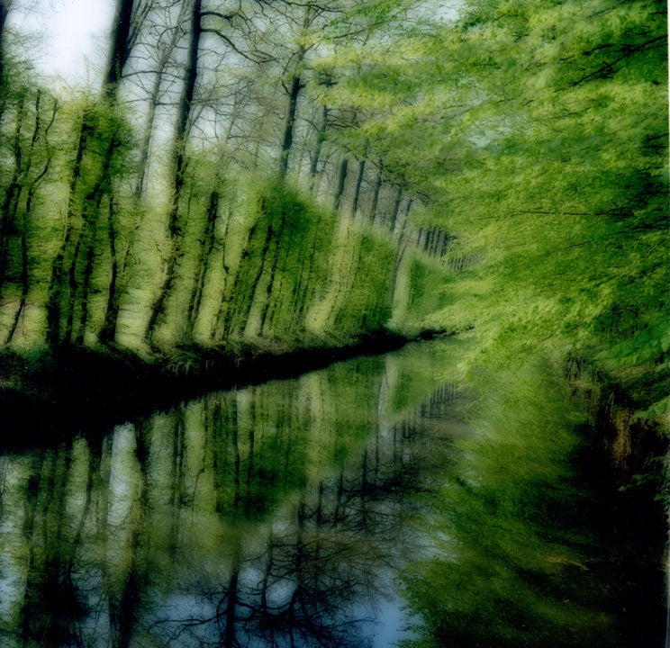Lynn Geesaman Landscape Photograph - Untitled (4-04-39c-11)