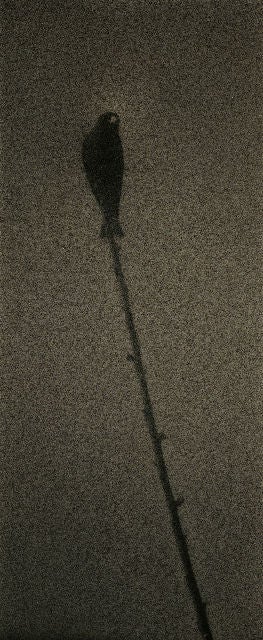 Masao Yamamoto Black and White Photograph - Untitled #1601, from the series "Kawa = Flow"