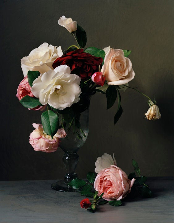 Still-Life Photograph Sharon Core - 1888:: 1888