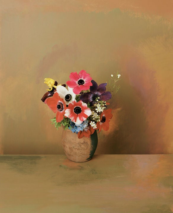 Still-Life Photograph Sharon Core - 1907