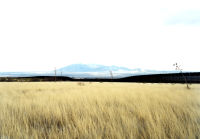 Untitled [Border view south from grasslands, Hereford, AZ]