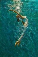 The Dream (Emerald Flight).