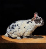 Netherland Dwarf Rabbit #1