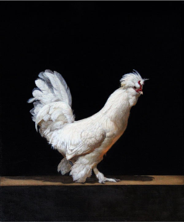 Patricia Traub - A Rare Sultan Rooster at 1stDibs