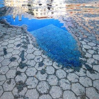 Union Square Reflections