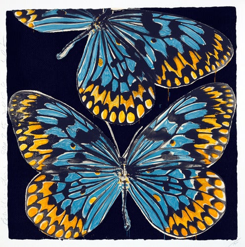 Donald Sultan Animal Print - Butterflies, Jan 25, 2006