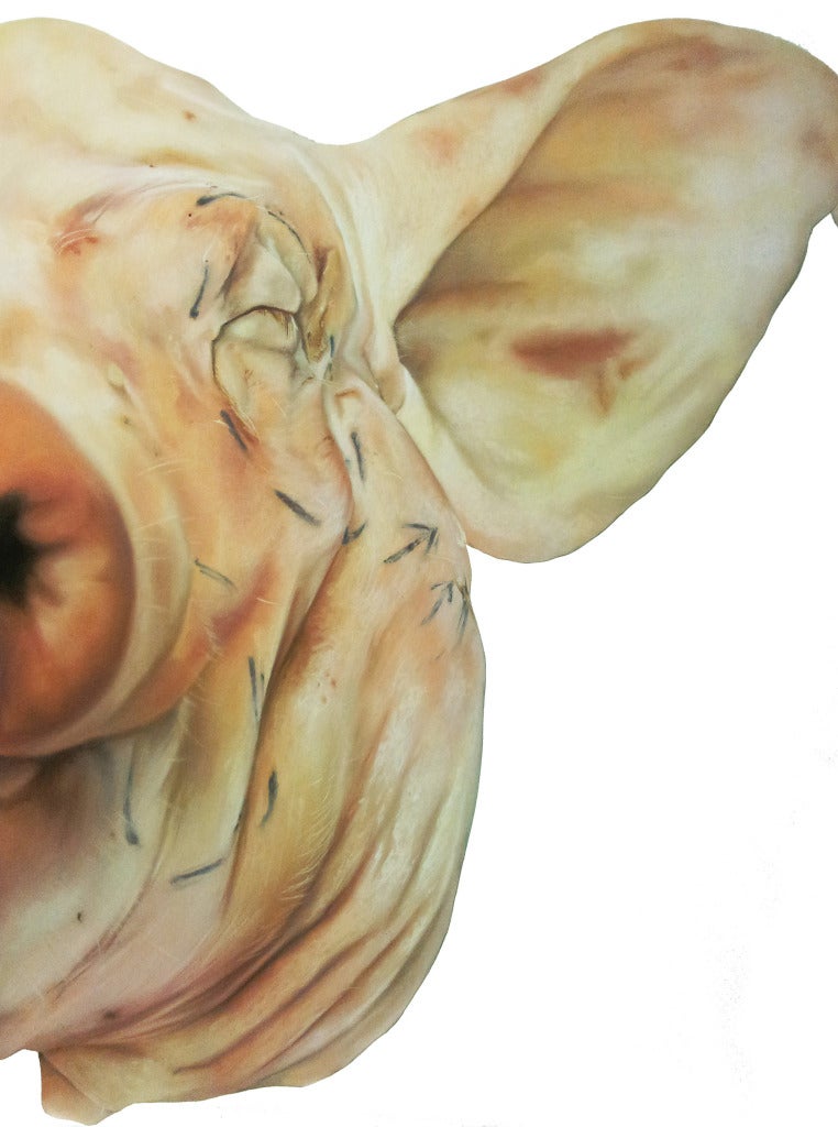 Oliver Jones Figurative Art - Love the Skin You're In (Half Pig Head)