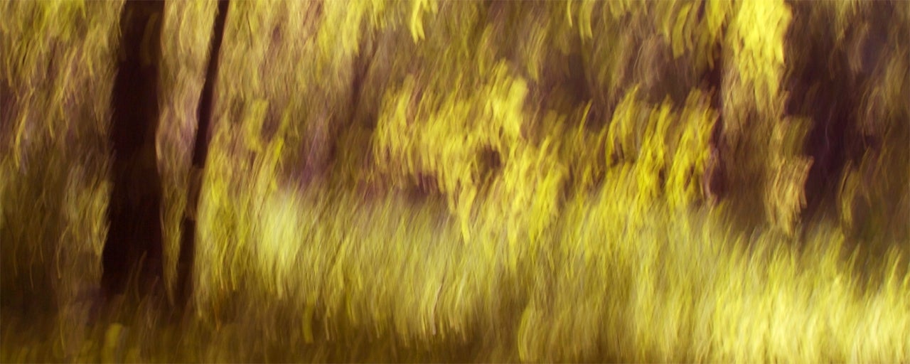 Etienne Labbe Abstract Photograph - Meadow