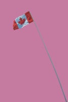 Pink Flag