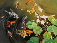 Koi Acrobats