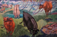 Cocos, Cows, and Sugar Cane