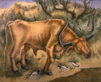 Texas Longhorn
