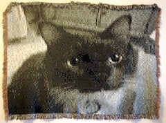Used Cat, from the series 8 Bits or Less