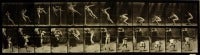HUMAN LOCOMOTION-MALE-PLATE 157
