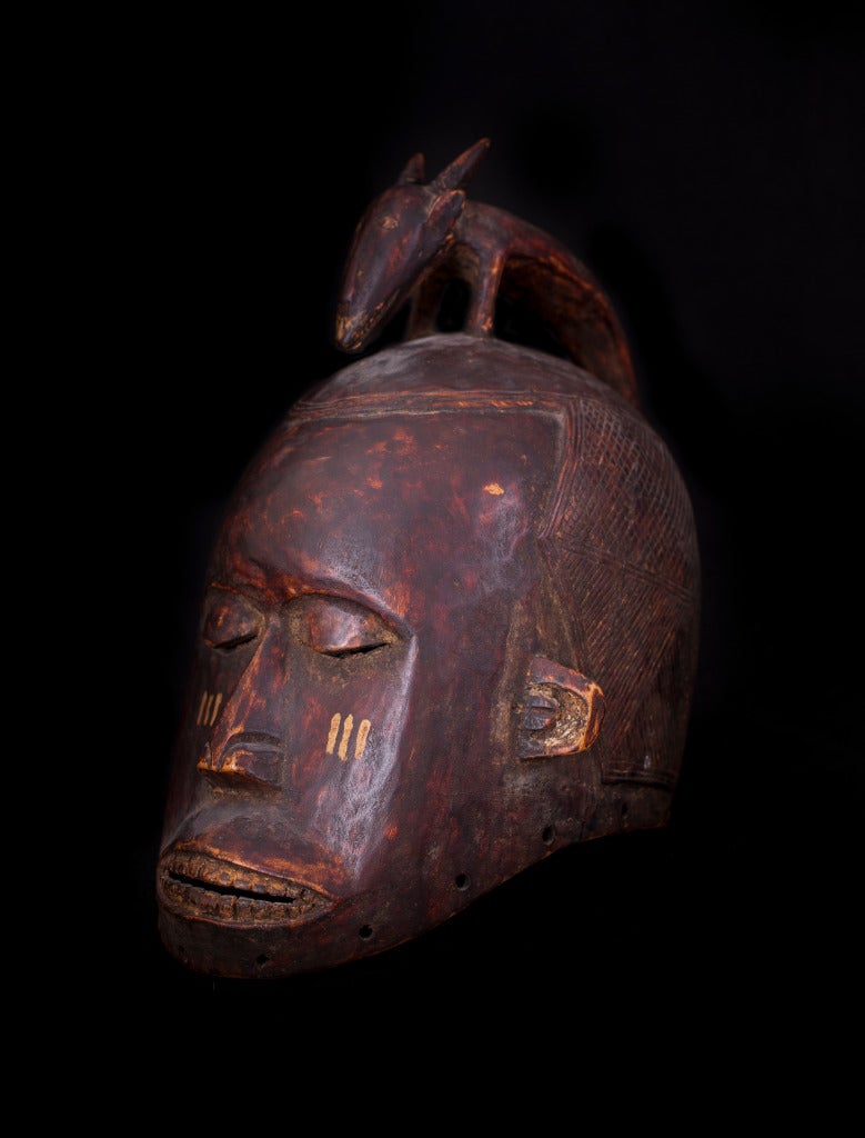 A very nice Suku Helmet Mask from the Democratic Republic of Congo. This lovely example has been in the same important NY collection of African Art fro over 50 years.

Wood mask surmounted with a horned animal on its coiffure, the face with bulging